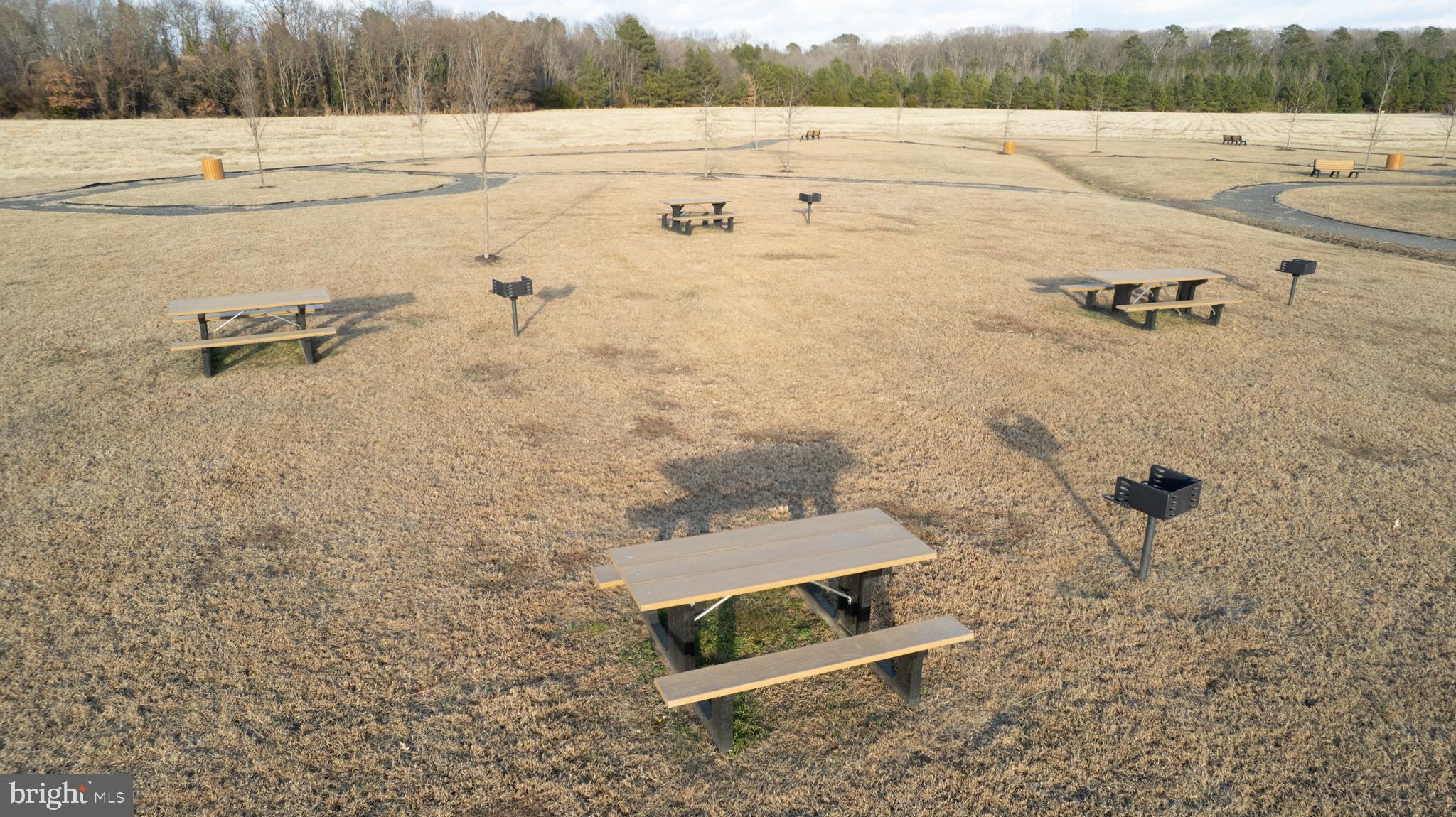 120 Mariners Way Cambridge, MD 21613 - Photo 41 of 44 a view of a yard