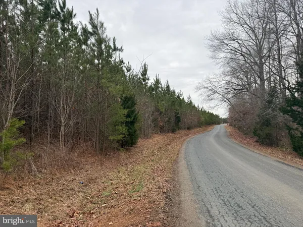 a view of a dirt road with trees in the background