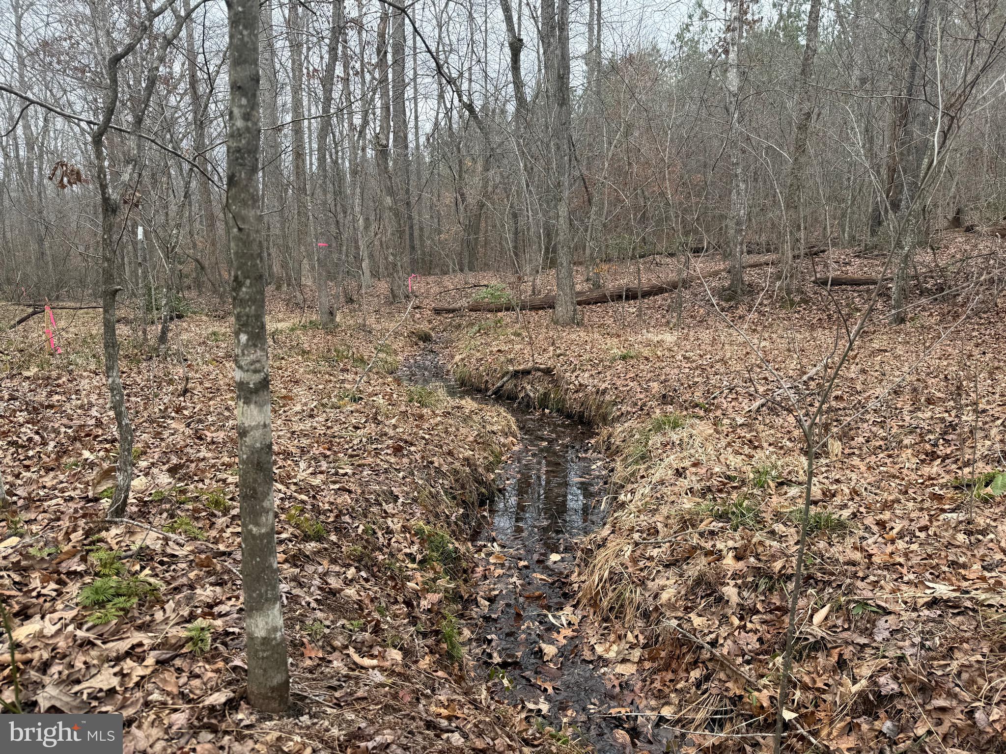 Lot C2 Hardware Road Arvonia, VA 23004 - Photo 3 of 11