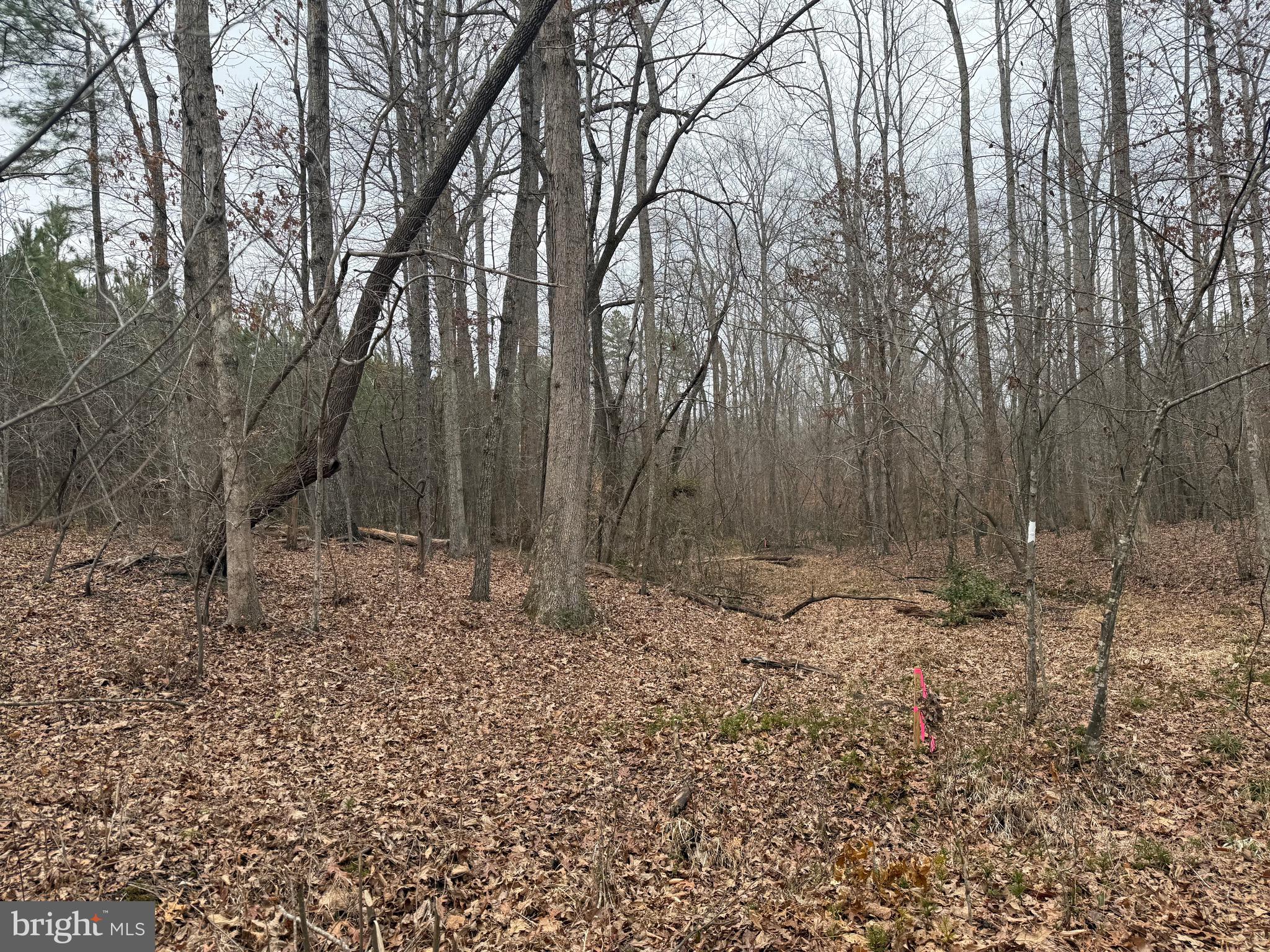 Lot C2 Hardware Road Arvonia, VA 23004 - Photo 4 of 11