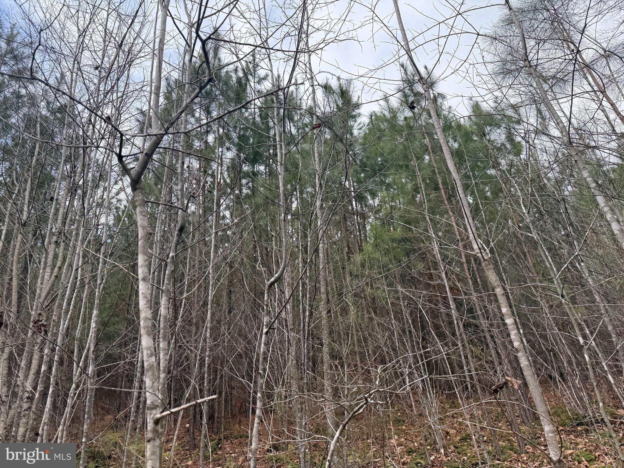 Lot C2 Hardware Road Arvonia, VA 23004 - Photo 7 of 11