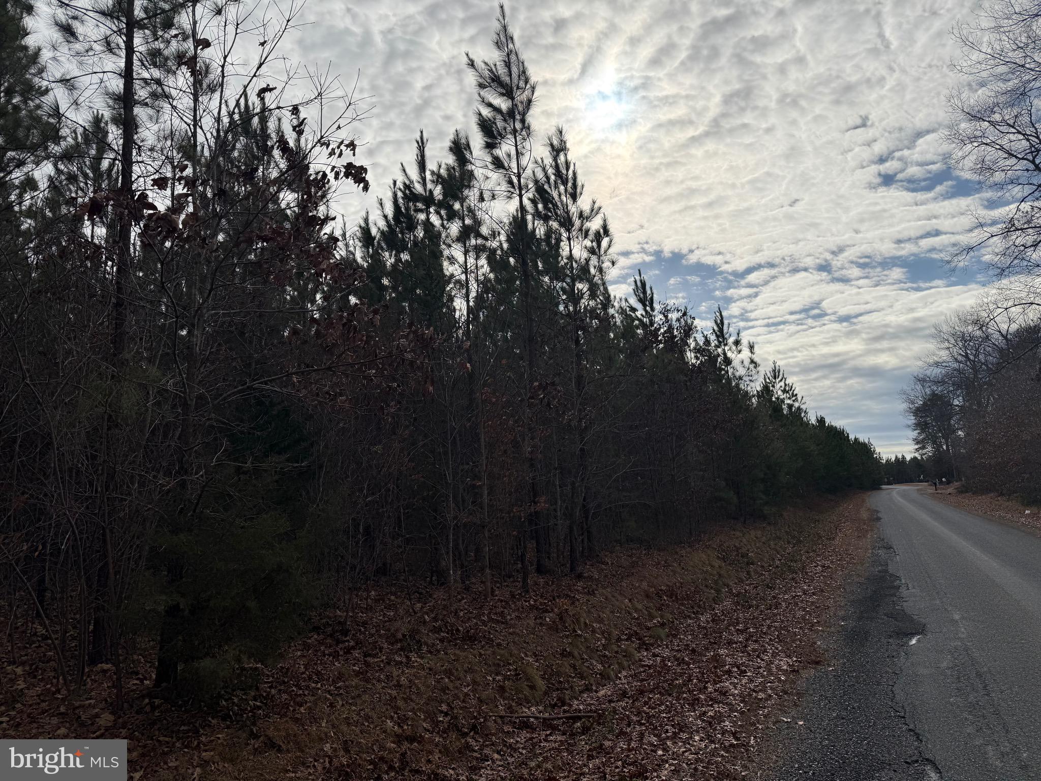 Lot C2 Hardware Road Arvonia, VA 23004 - Photo 8 of 11