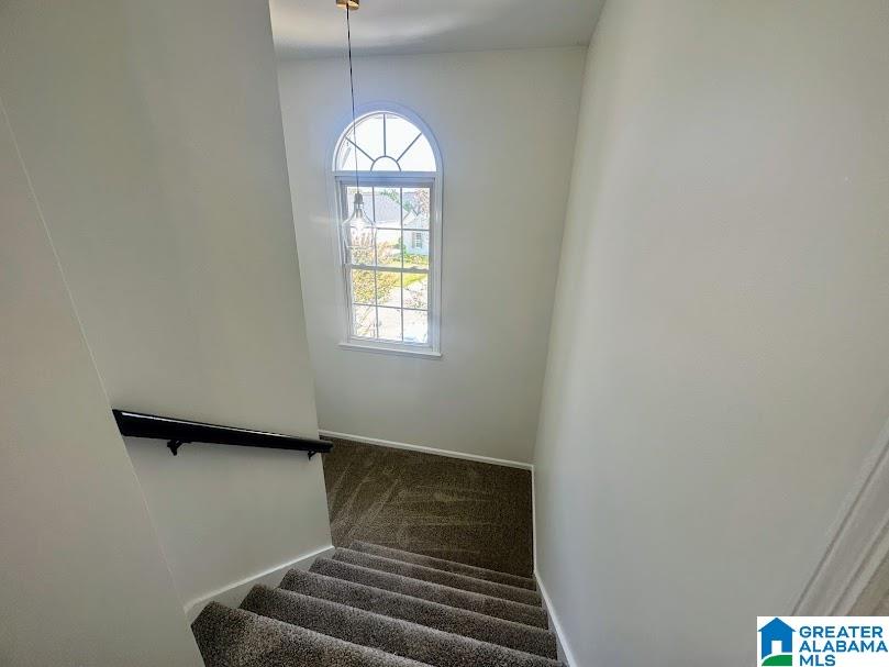 337 Lakepoint Drive, Unit 1/PH 1 RIVERVIEW TWNHM Gadsden, AL 35901 - Photo 52 of 70