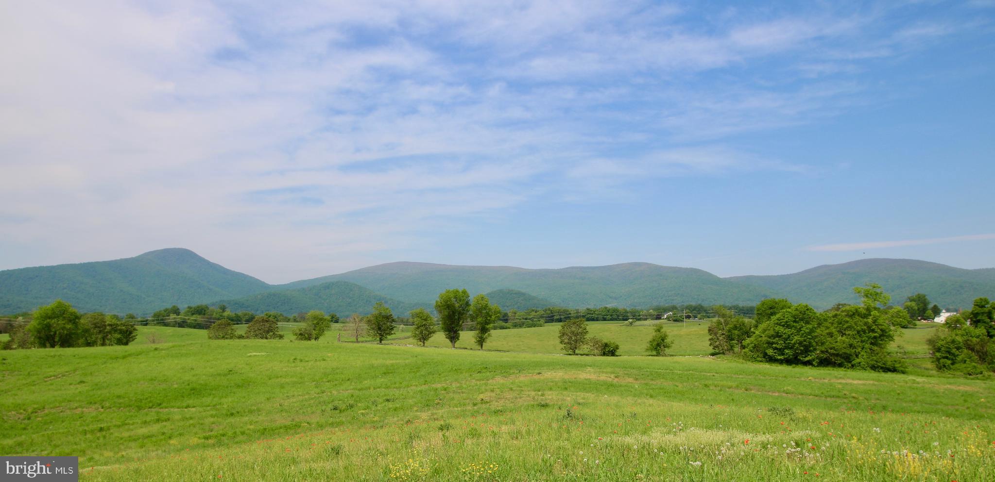 a view of grassy field and mountains