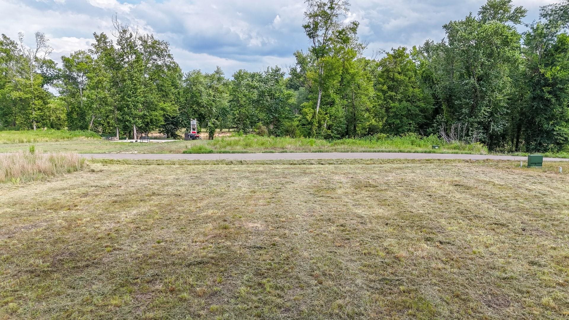 124 Launch Ramp Cove Savannah, TN 38372 - Photo 20 of 33 a view of a yard with a trees