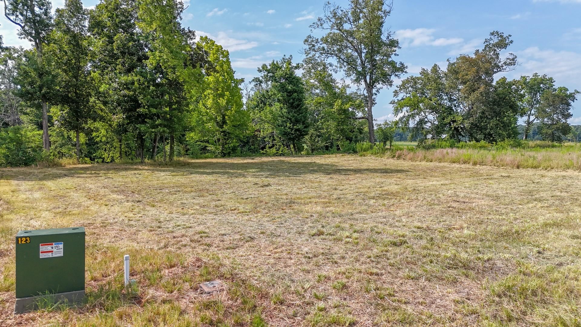 124 Launch Ramp Cove Savannah, TN 38372 - Photo 21 of 33