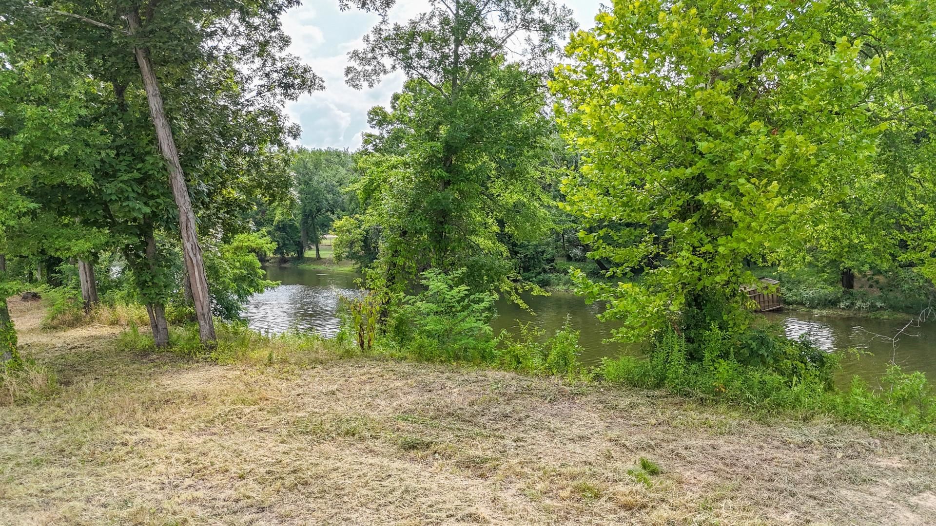 124 Launch Ramp Cove Savannah, TN 38372 - Photo 23 of 33 a backyard of a house with plants and large trees