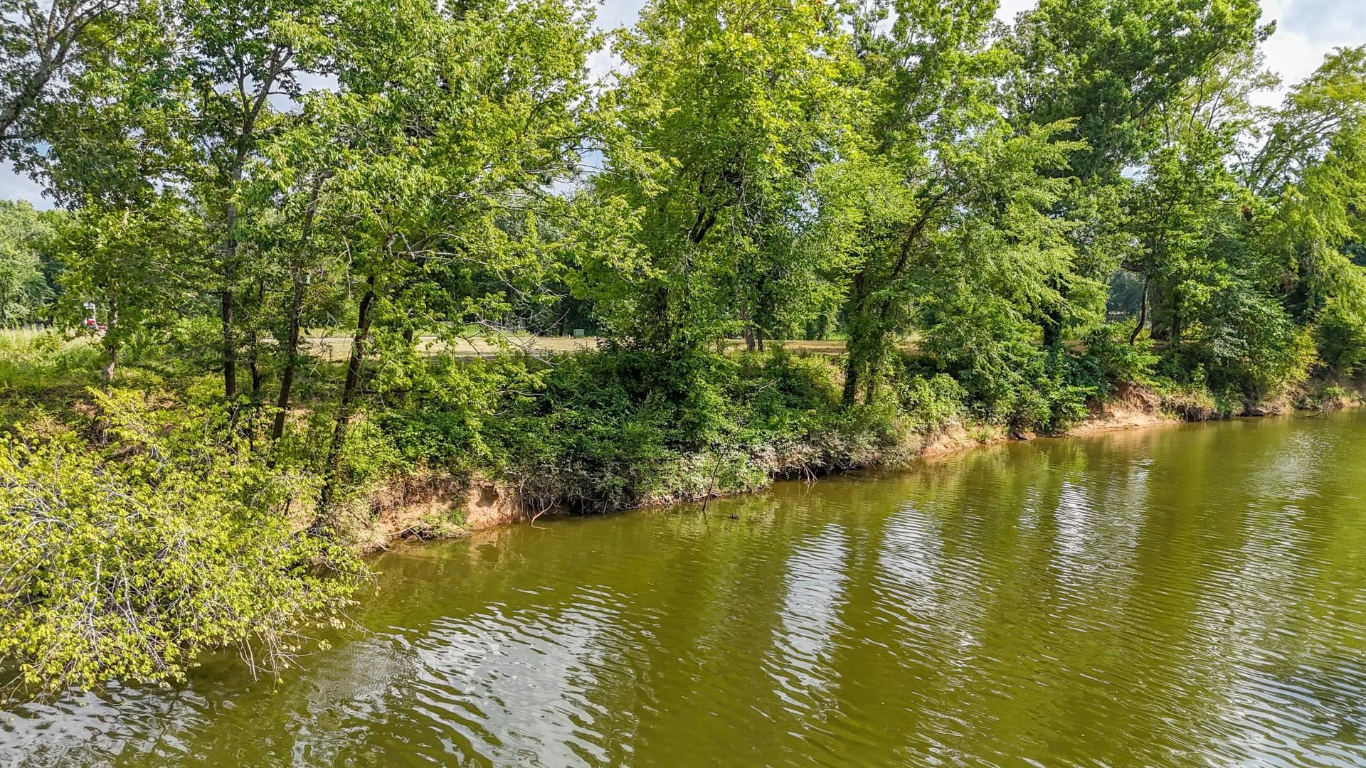 124 Launch Ramp Cove Savannah, TN 38372 - Photo 25 of 33 a view of an ocean from a yard