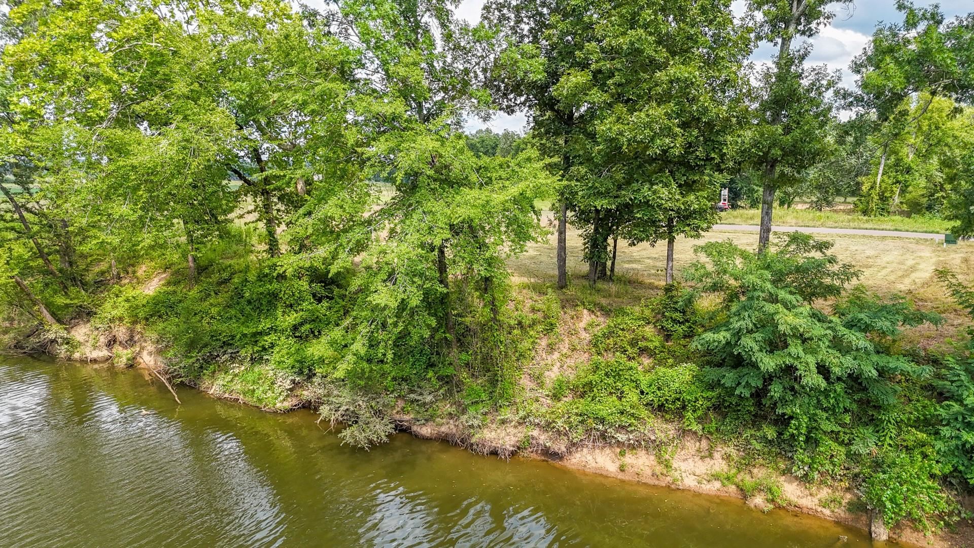 124 Launch Ramp Cove Savannah, TN 38372 - Photo 5 of 33