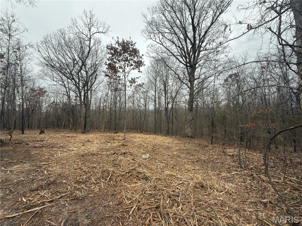 120 Donovan Road Lebanon, MO 65536 - Photo 2 of 9