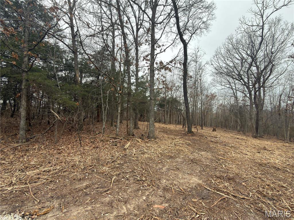 120 Donovan Road Lebanon, MO 65536 - Photo 9 of 9