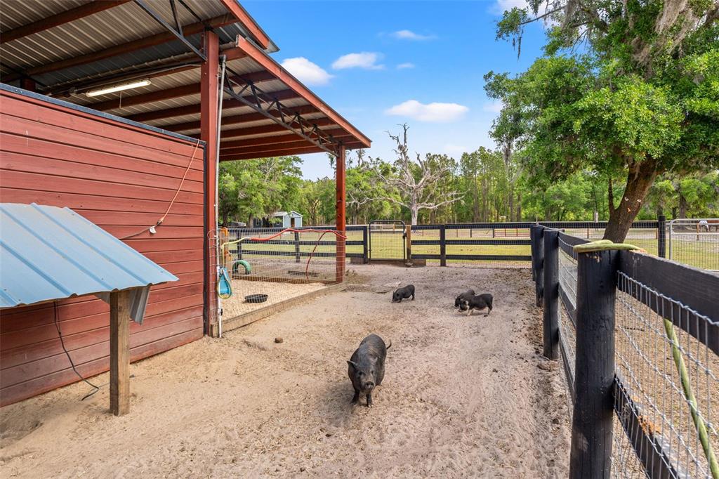 3431 Saturn Road Brooksville, FL 34604 - Photo 49 of 100