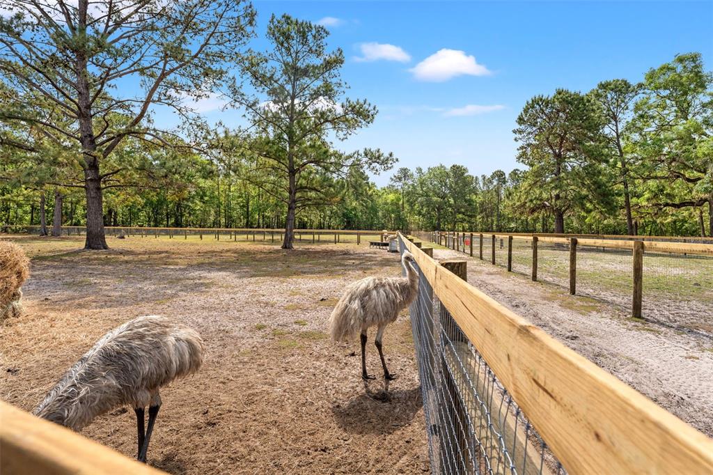 3431 Saturn Road Brooksville, FL 34604 - Photo 50 of 100