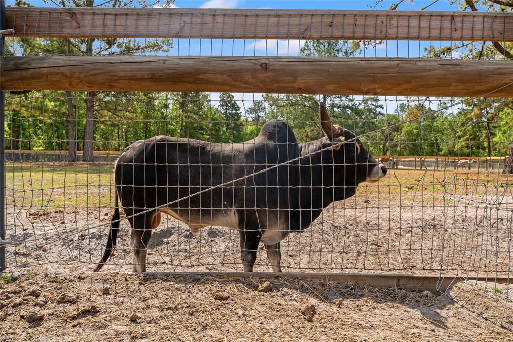 3431 Saturn Road Brooksville, FL 34604 - Photo 53 of 99