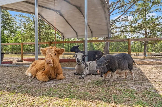 $4,400,000 | 3431 Saturn Road, Brooksville, FL 34604