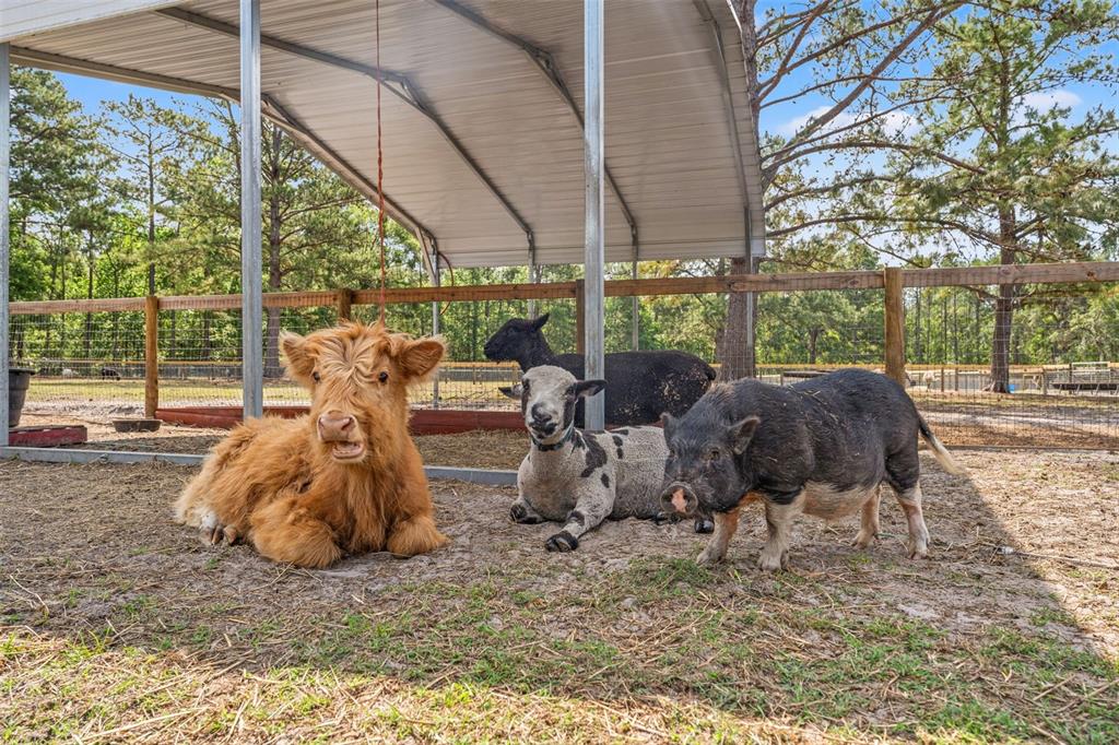 3431 Saturn Road Brooksville, FL 34604 - Photo 54 of 99