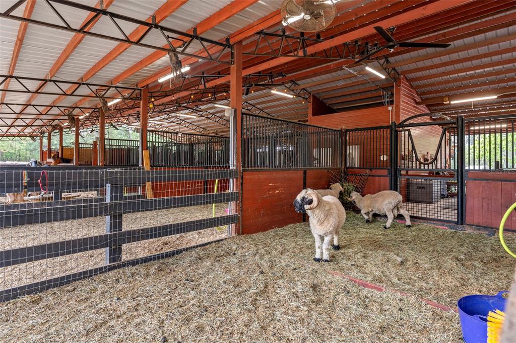 3431 Saturn Road Brooksville, FL 34604 - Photo 57 of 99