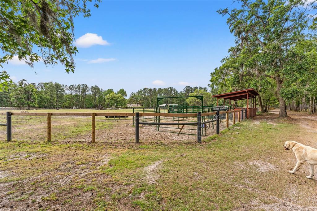 3431 Saturn Road Brooksville, FL 34604 - Photo 64 of 99