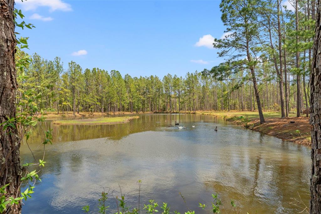 3431 Saturn Road Brooksville, FL 34604 - Photo 77 of 99