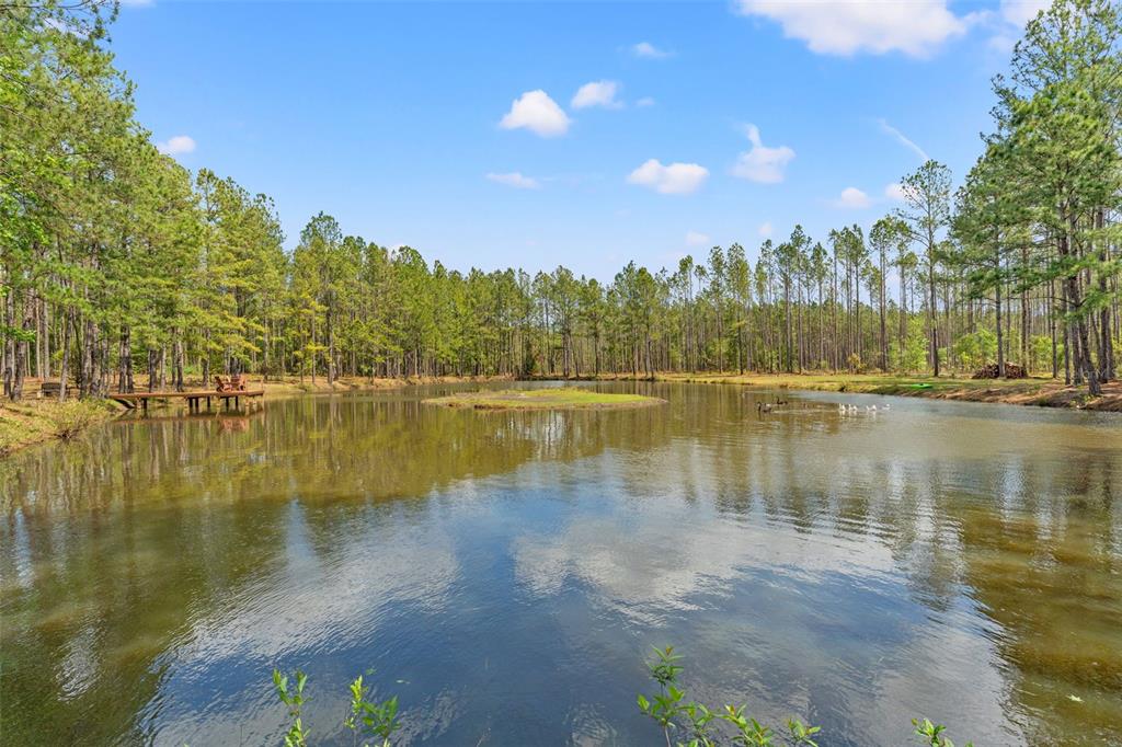 3431 Saturn Road Brooksville, FL 34604 - Photo 78 of 99