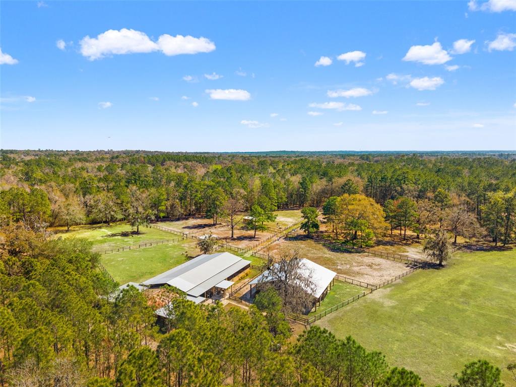 3431 Saturn Road Brooksville, FL 34604 - Photo 8 of 100