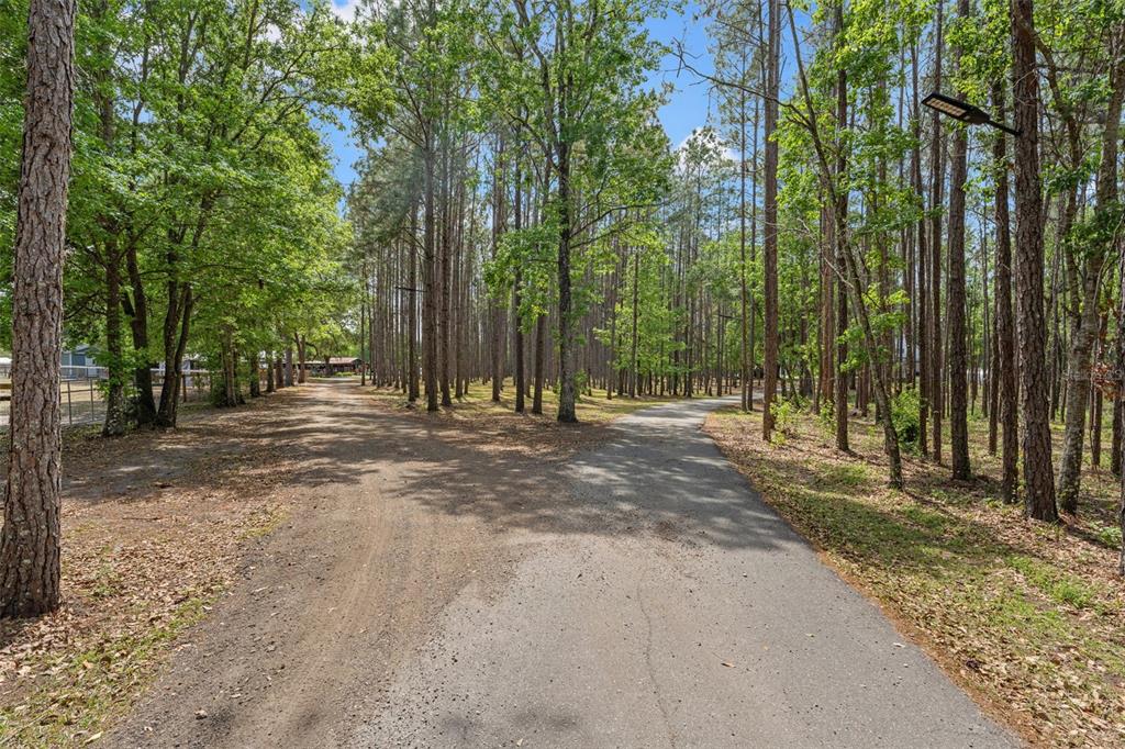 3431 Saturn Road Brooksville, FL 34604 - Photo 95 of 99