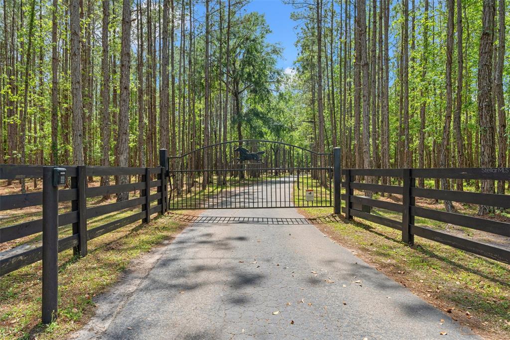 3431 Saturn Road Brooksville, FL 34604 - Photo 96 of 99