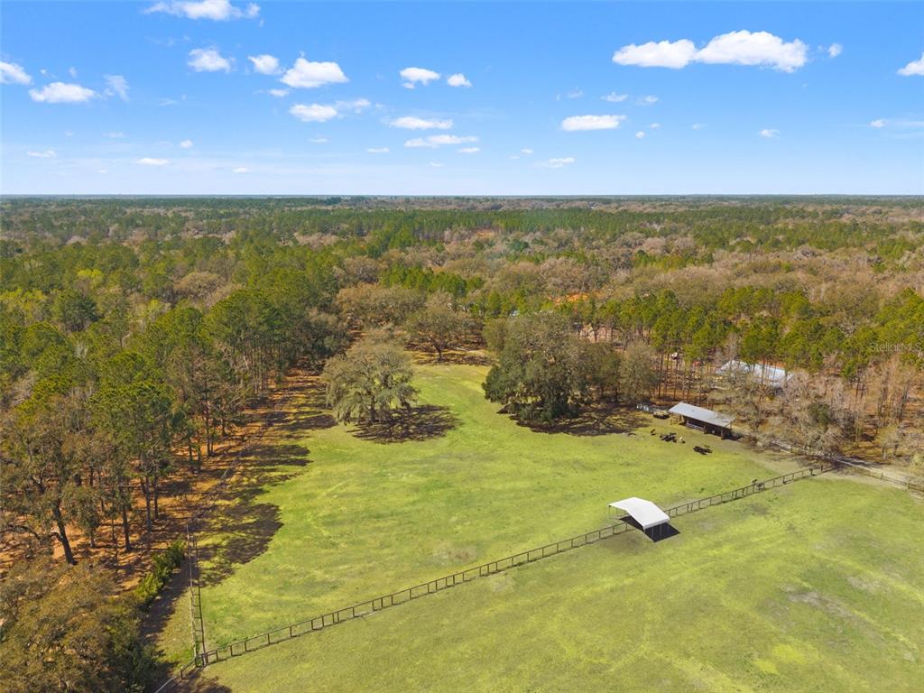 3431 Saturn Road Brooksville, FL 34604 - Photo 100 of 100