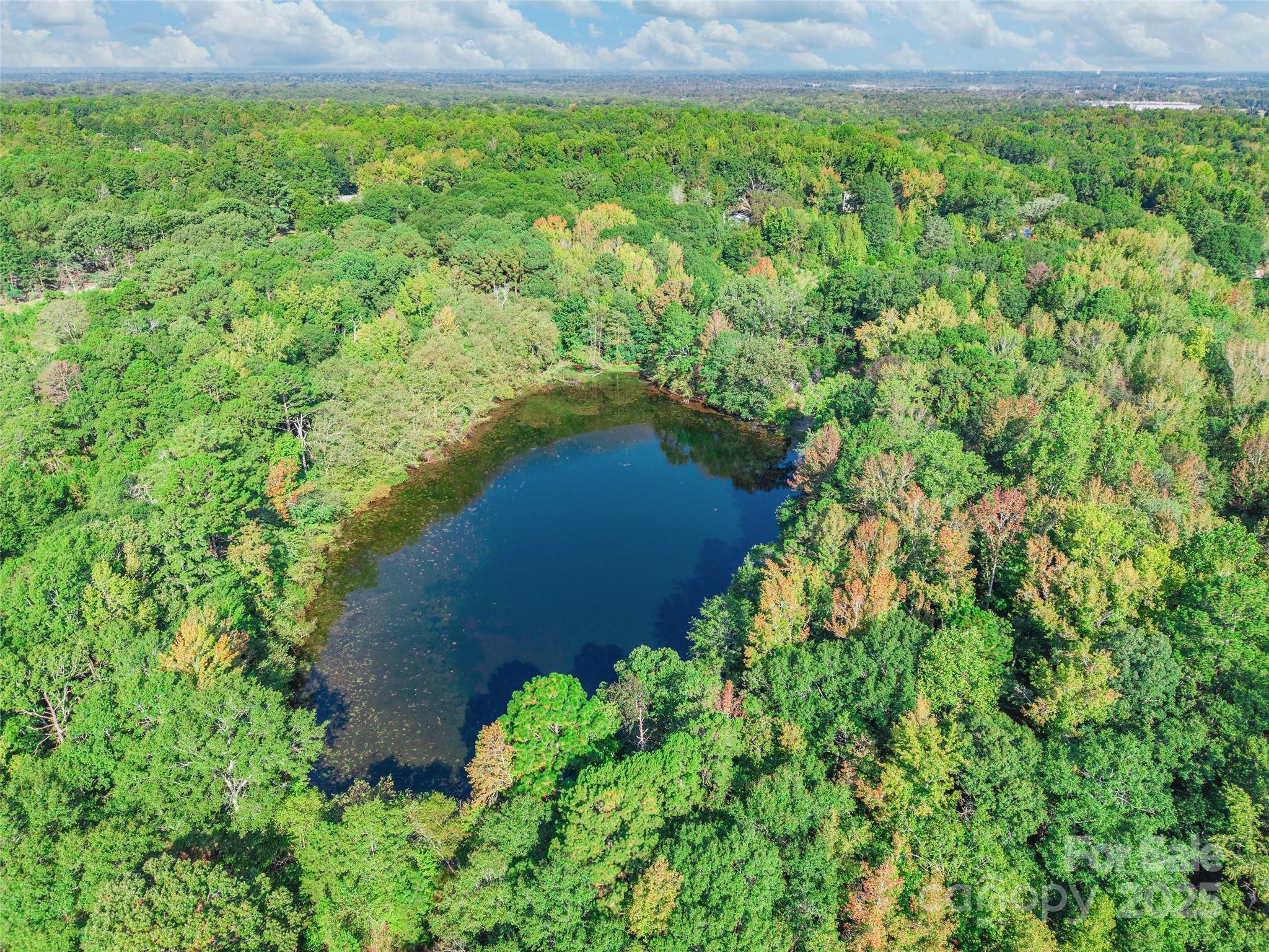 1652 Barringer Road Rock Hill, SC 29730 - Photo 12 of 13 a view of a garden