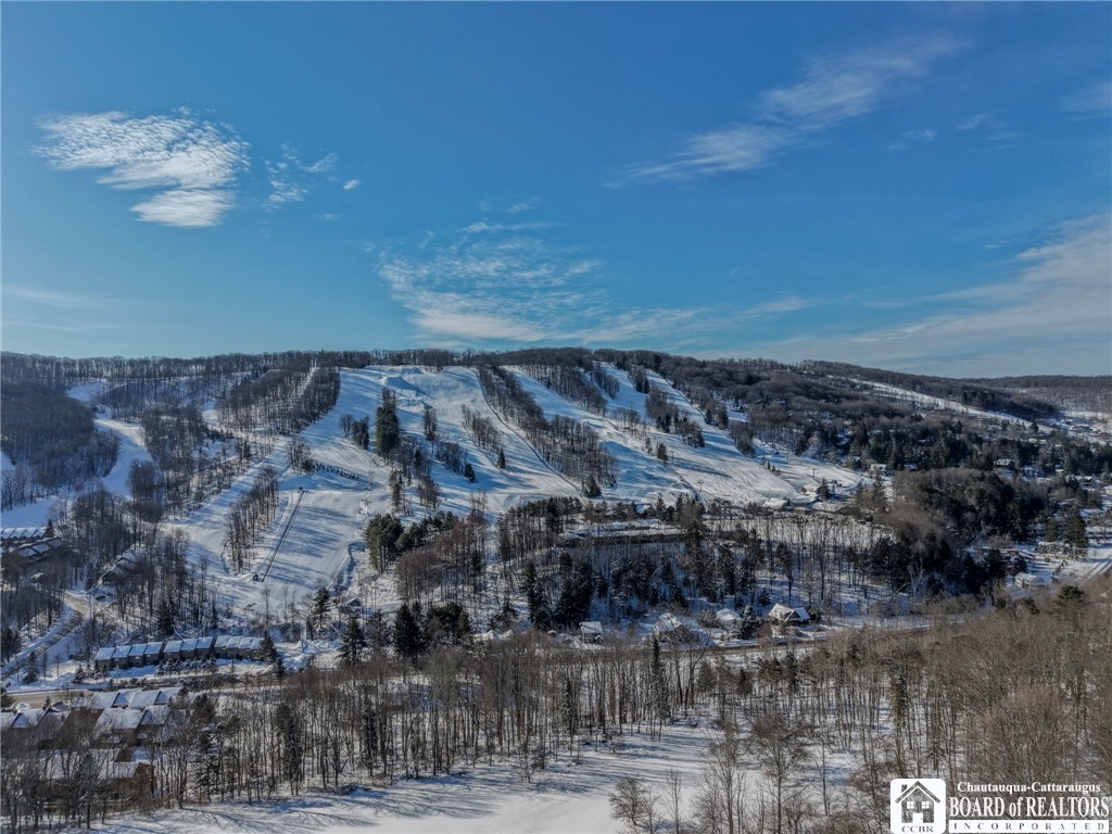 16 Stone Ridge Ellicottville, NY 14731 - Photo 32 of 46