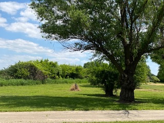 9020 Base Line Road Kingston, IL 60145 - Photo 44 of 63