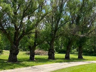9020 Base Line Road Kingston, IL 60145 - Photo 45 of 63