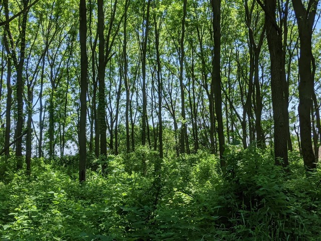 9020 Base Line Road Kingston, IL 60145 - Photo 50 of 63