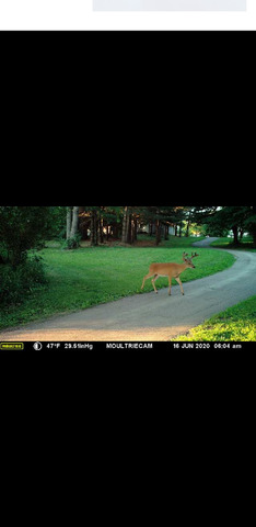 9020 Base Line Road Kingston, IL 60145 - Photo 63 of 63