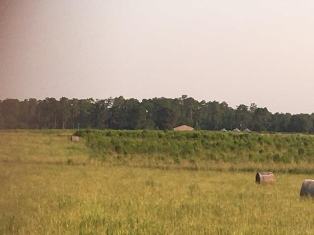8100 Jakes Road McDavid, FL 32568 - Photo 1 of 11