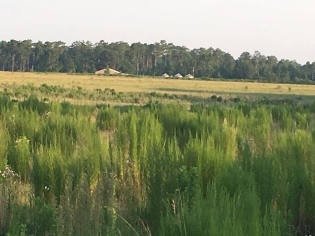 8100 Jakes Road McDavid, FL 32568 - Photo 3 of 11