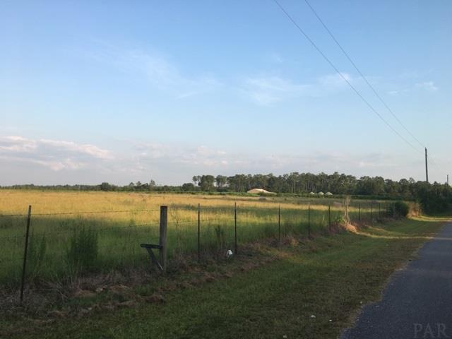 8100 Jakes Road McDavid, FL 32568 - Photo 6 of 11