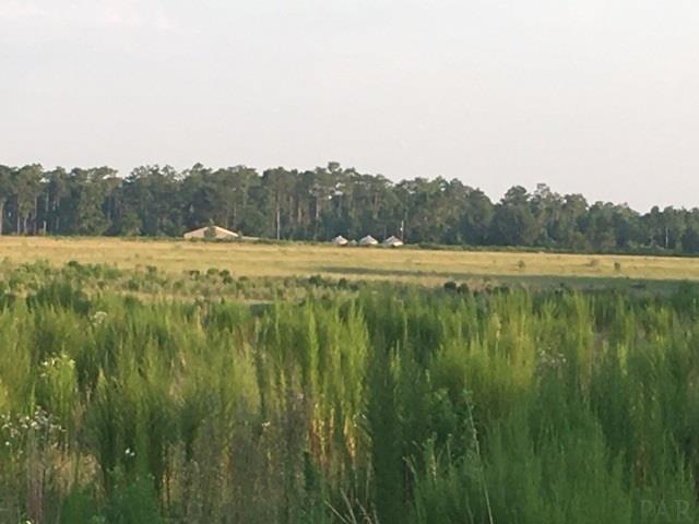 8100 Jakes Road McDavid, FL 32568 - Photo 8 of 11