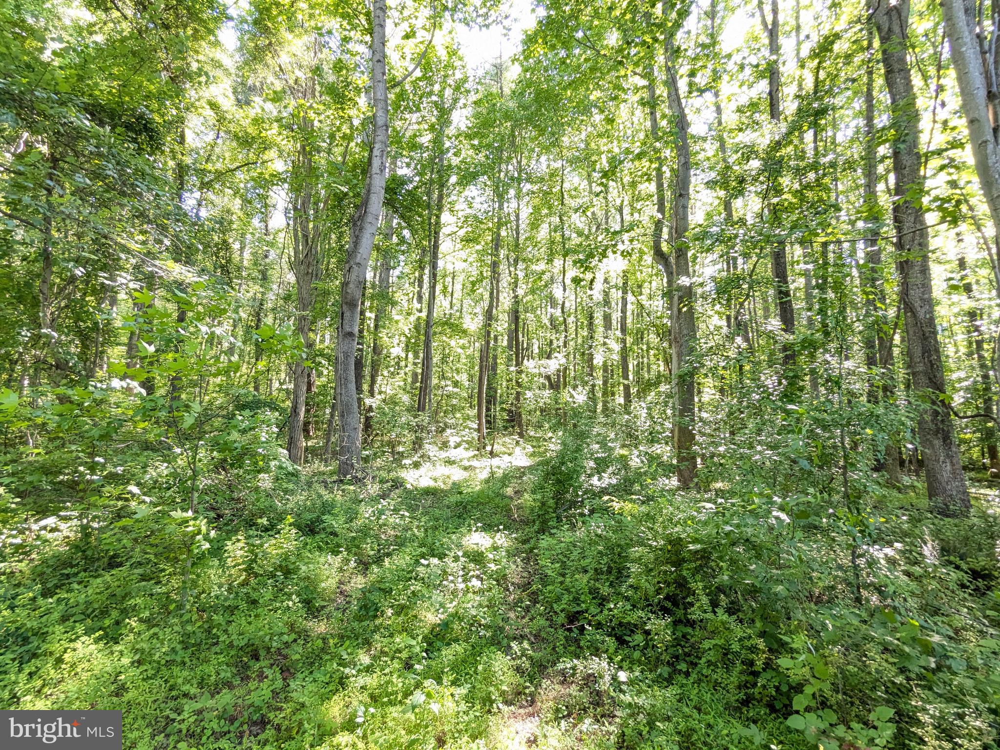 1260 Lottie Fowler Road Prince Frederick, MD 20678 - Photo 5 of 6