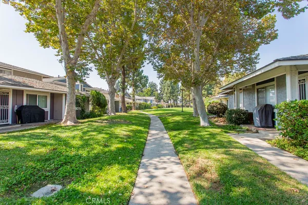 a view of a yard with plants and a large tree