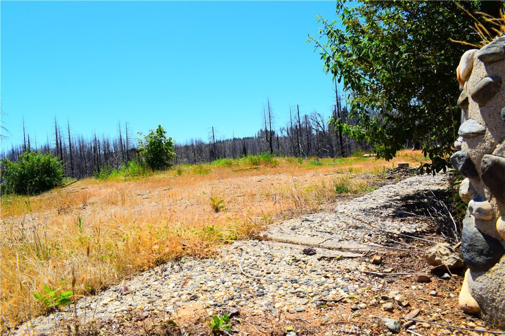 461 Milsap Bar Road Berry Creek, CA 95916 - Photo 15 of 18
