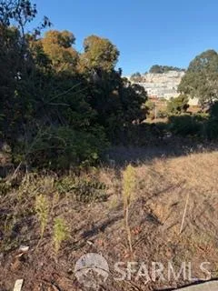 $250,000 | 150 Chester Avenue, San Francisco, CA 94132