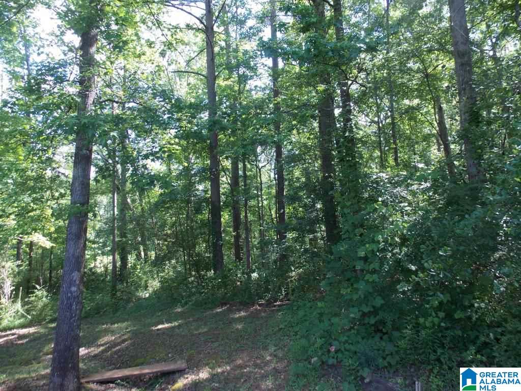 150 Alexis Lane Anniston, AL 36201 - Photo 35 of 41