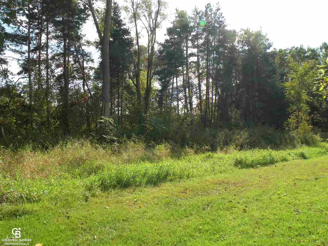 0 Bauman Road Columbus, MI 48063 - Photo 2 of 7