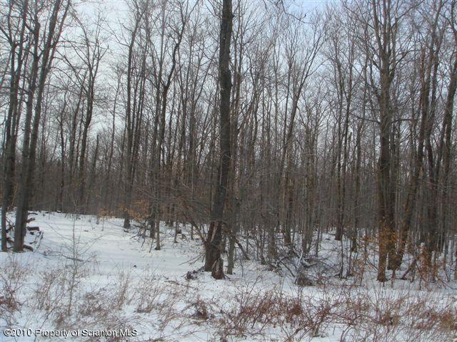Flat Rock Road Waymart, PA 18472 - Photo 2 of 7 ONE PARCEL