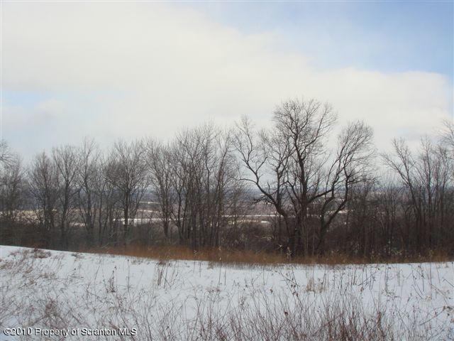 Flat Rock Road Waymart, PA 18472 - Photo 3 of 7 DISTANT VIEWS