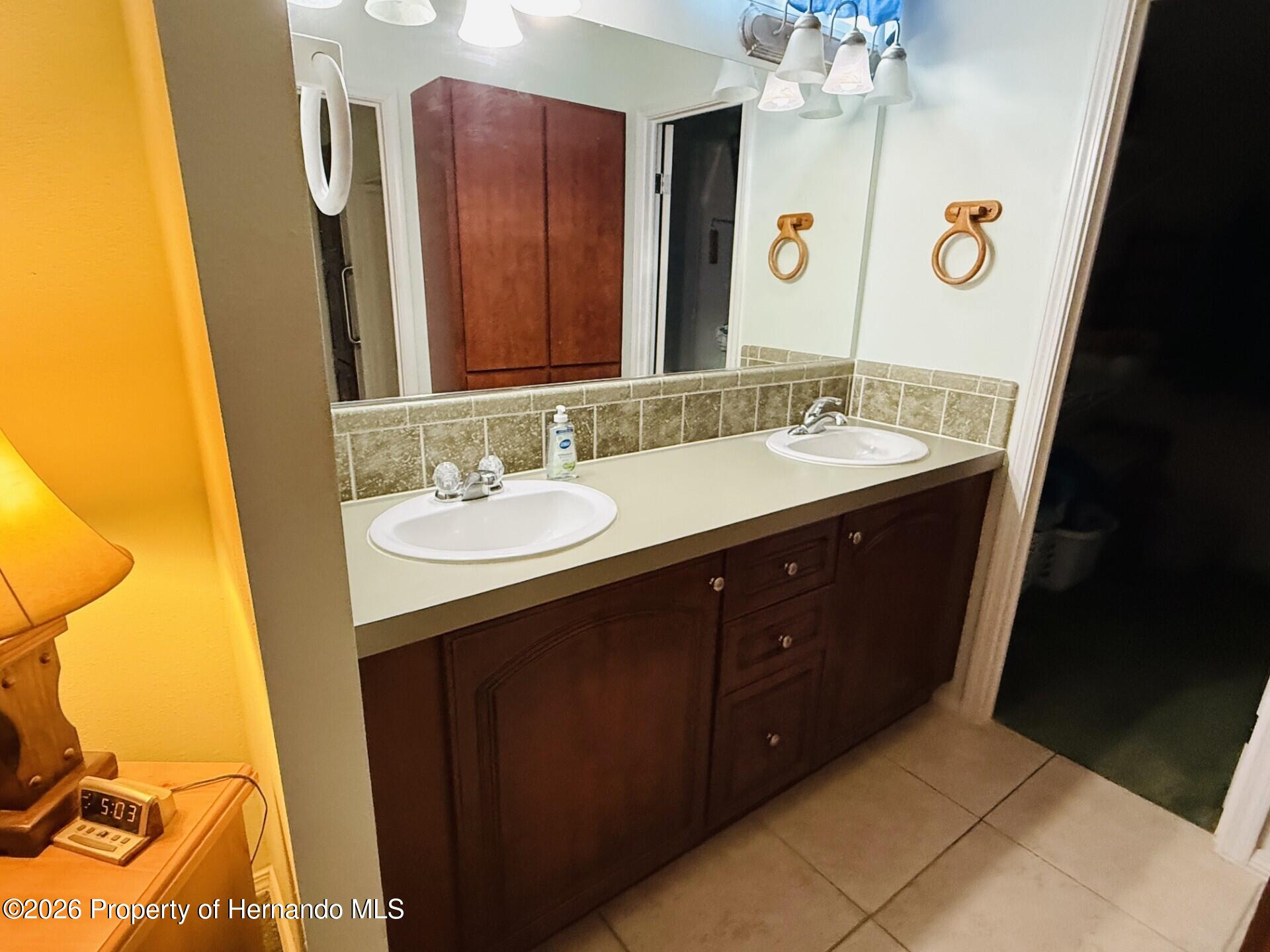 10378 Tooke Lake Boulevard Weeki Wachee, FL 34613 - Photo 26 of 30