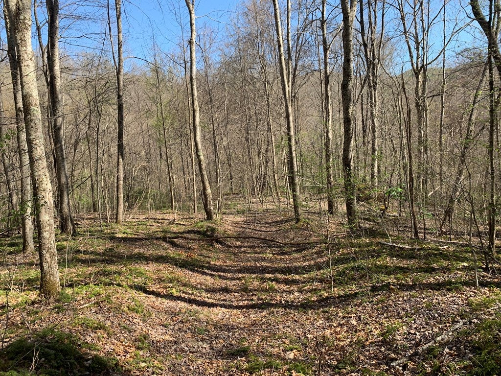 Tbd Mud Fork Road, Unit 1 Bluefield, VA 24605 - Photo 12 of 21 Gallery Image 12