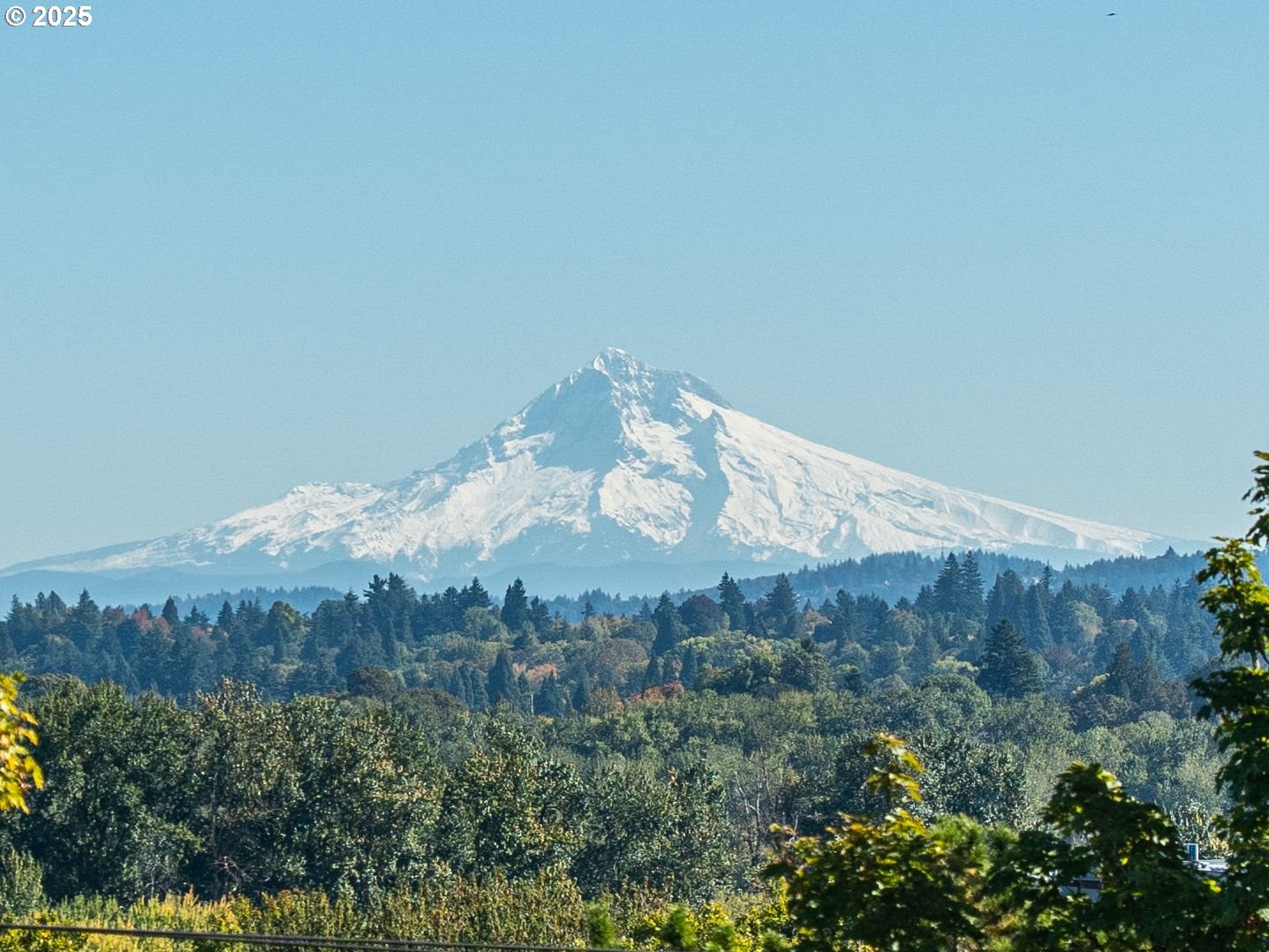 5218 Southwest View Point Terrace Portland, OR 97239 - Photo 2 of 39