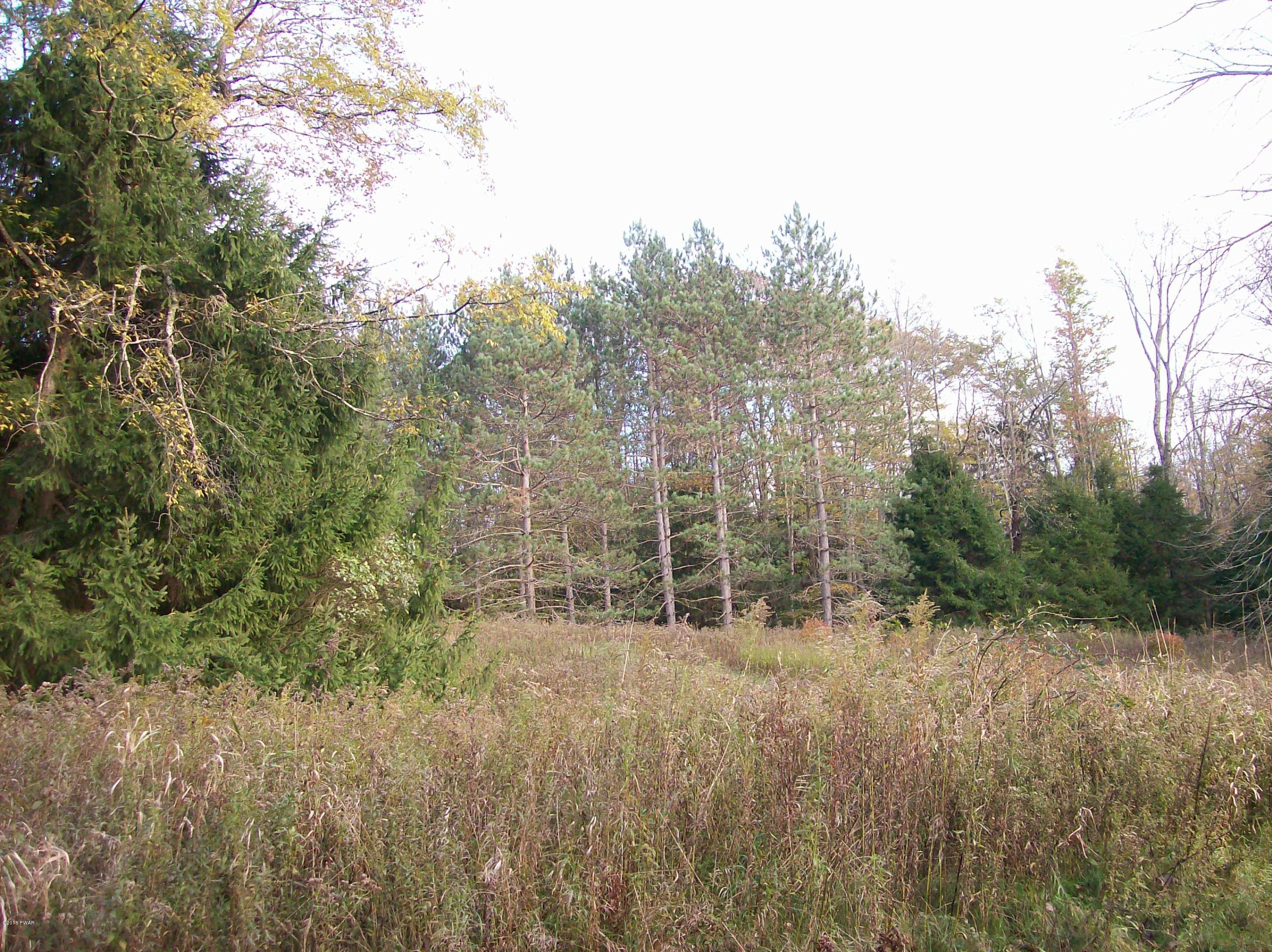 Lot #9 Bunting Road Honesdale, PA 18431 - Photo 1 of 7